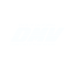 DMV logo 1