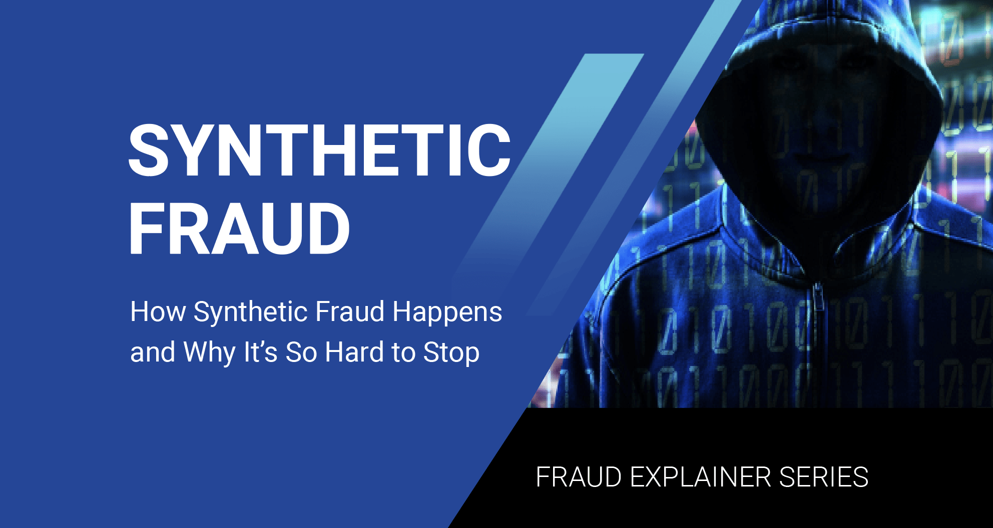 Synthetic Fraud Explainer Series